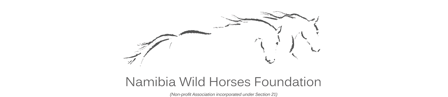 https://www.wild-horses-namibia.com/